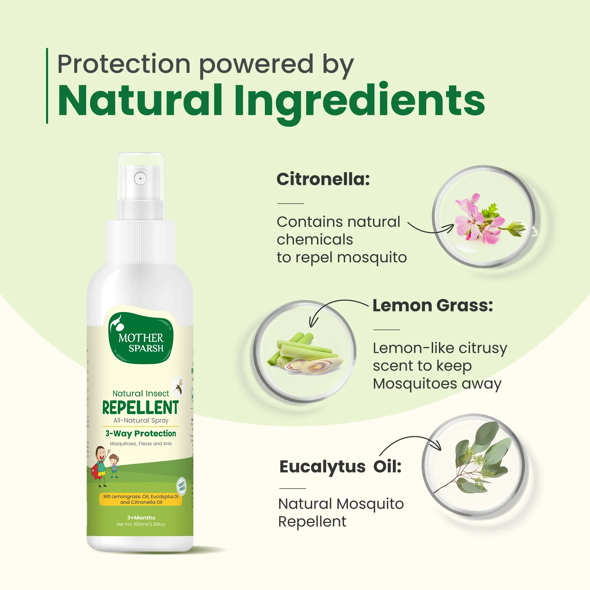 Natural Insect Repellent Spray - Image 4